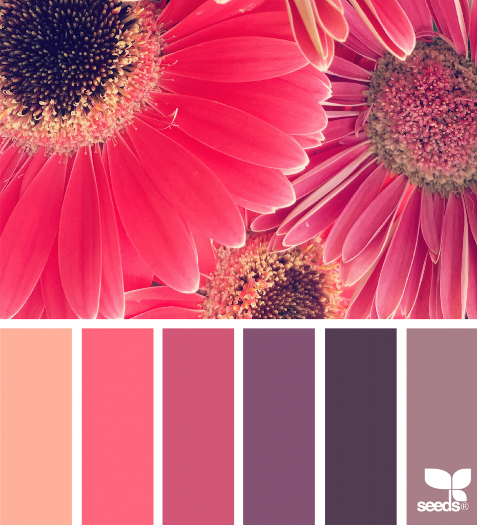 Сочетание ярких цветов