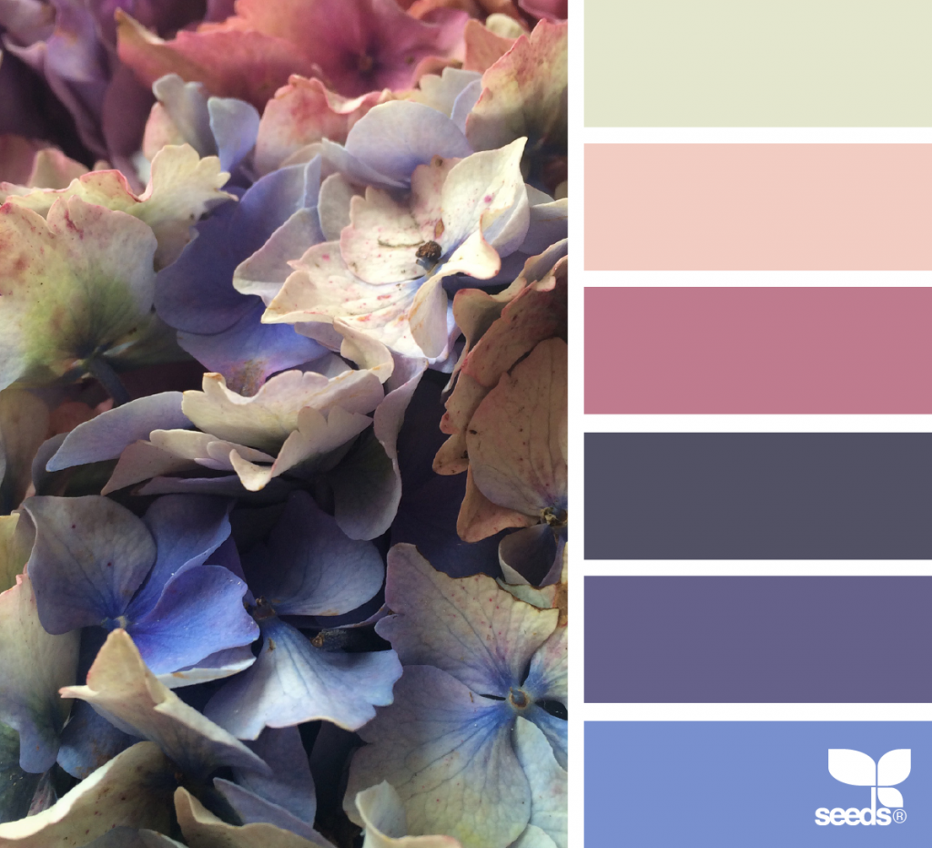 Цветовая палитра Color.romanuke