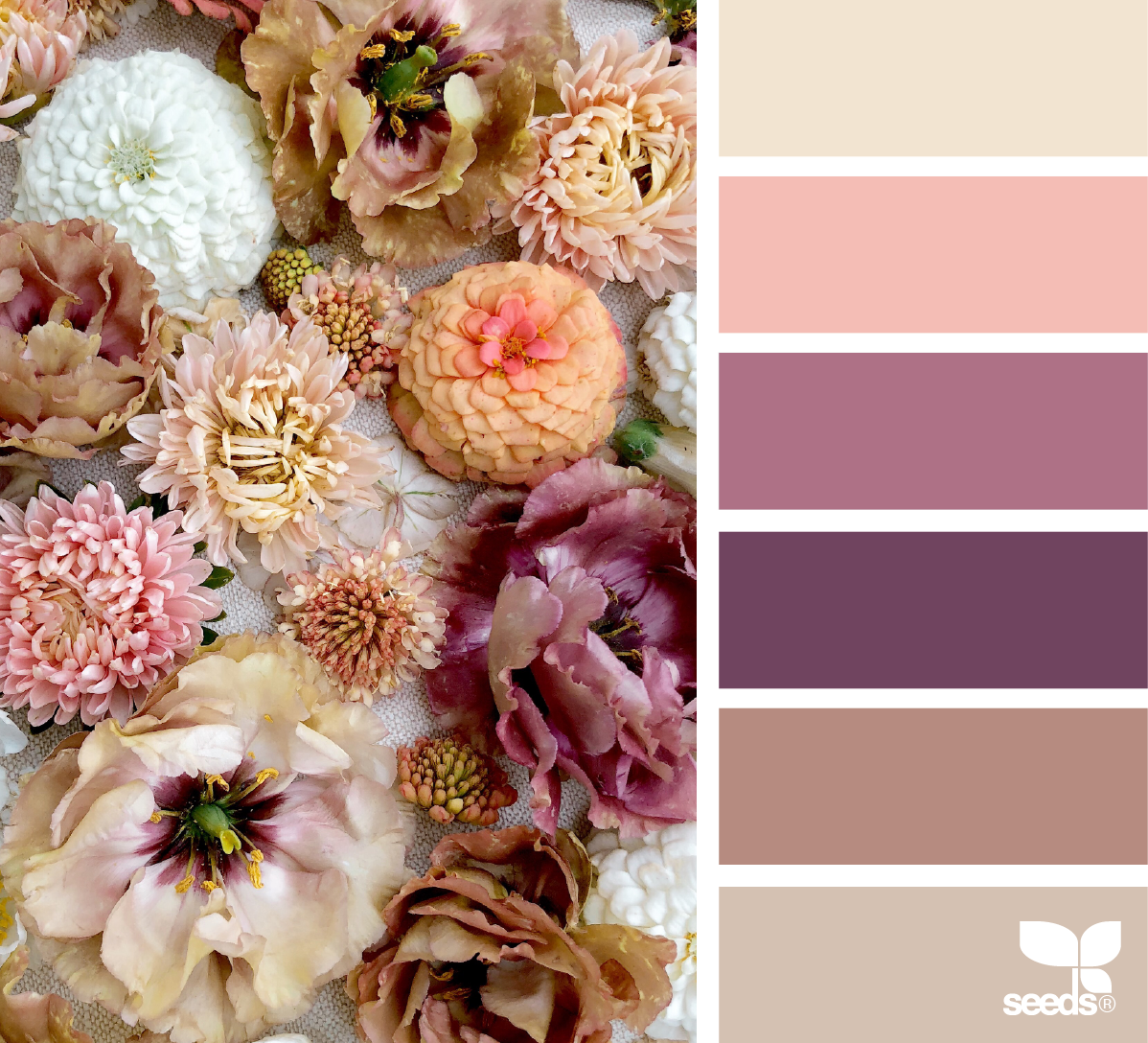 Цветовые Палитры Сидс