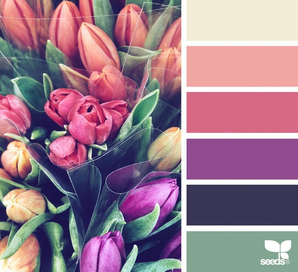 Цветовые Палитры romanuke