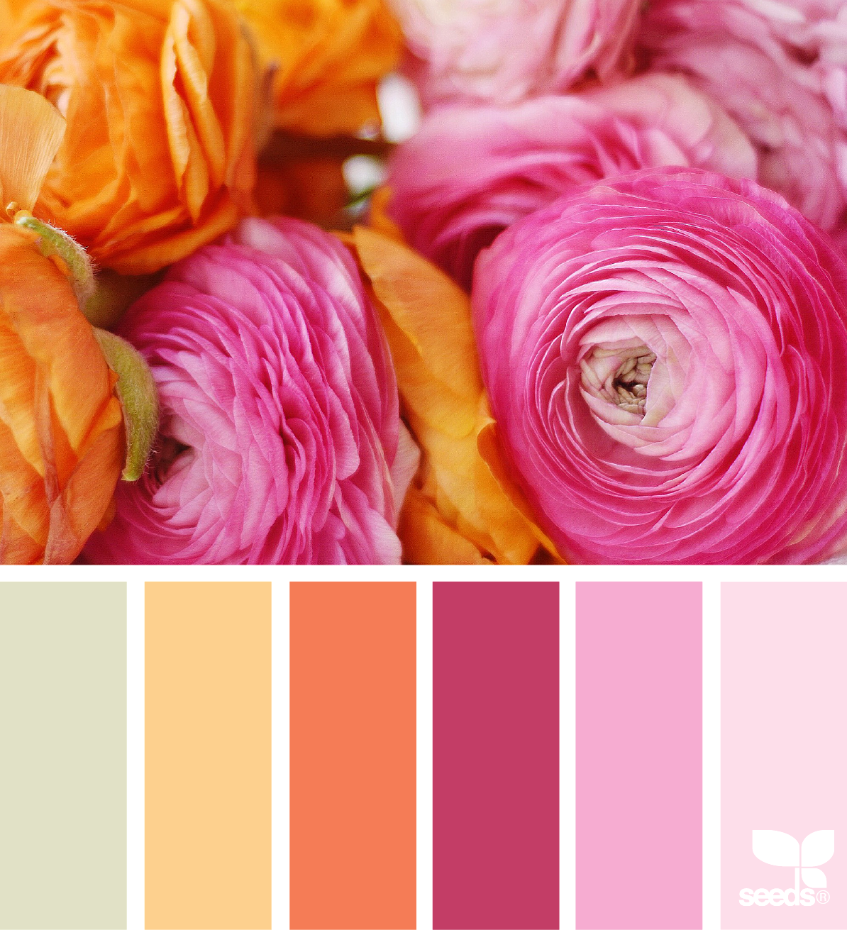Цветовые сочетания Сеедс