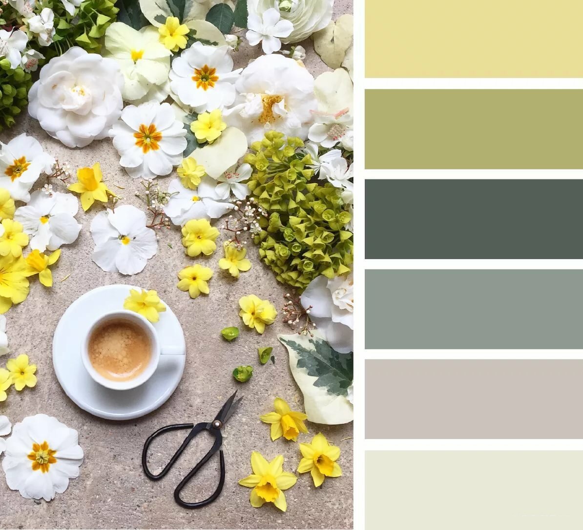 Цветовая гамма цветосочетание