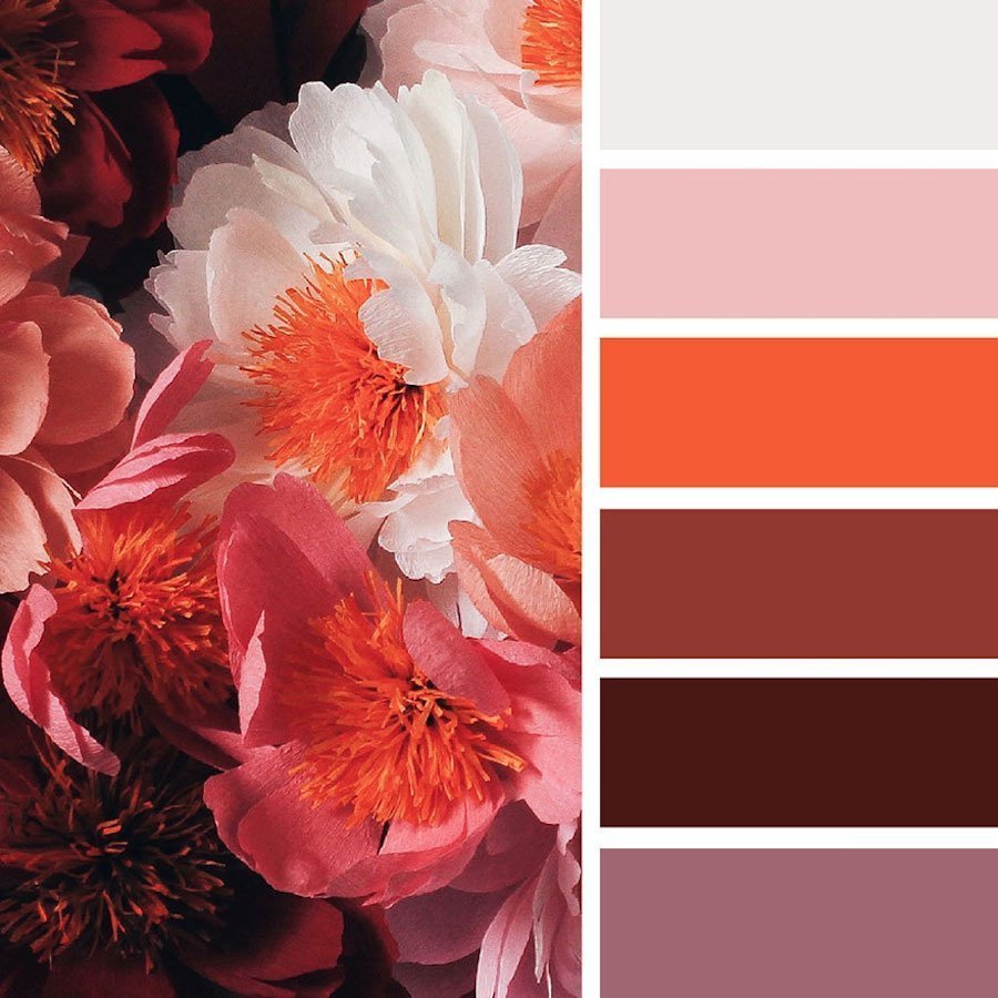 Сочетание цветов