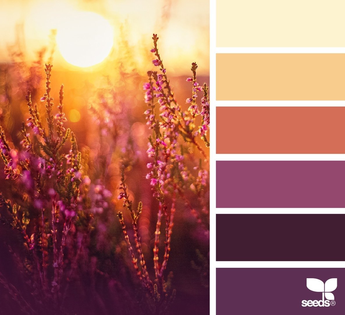 Цветовые Палитры romanuke