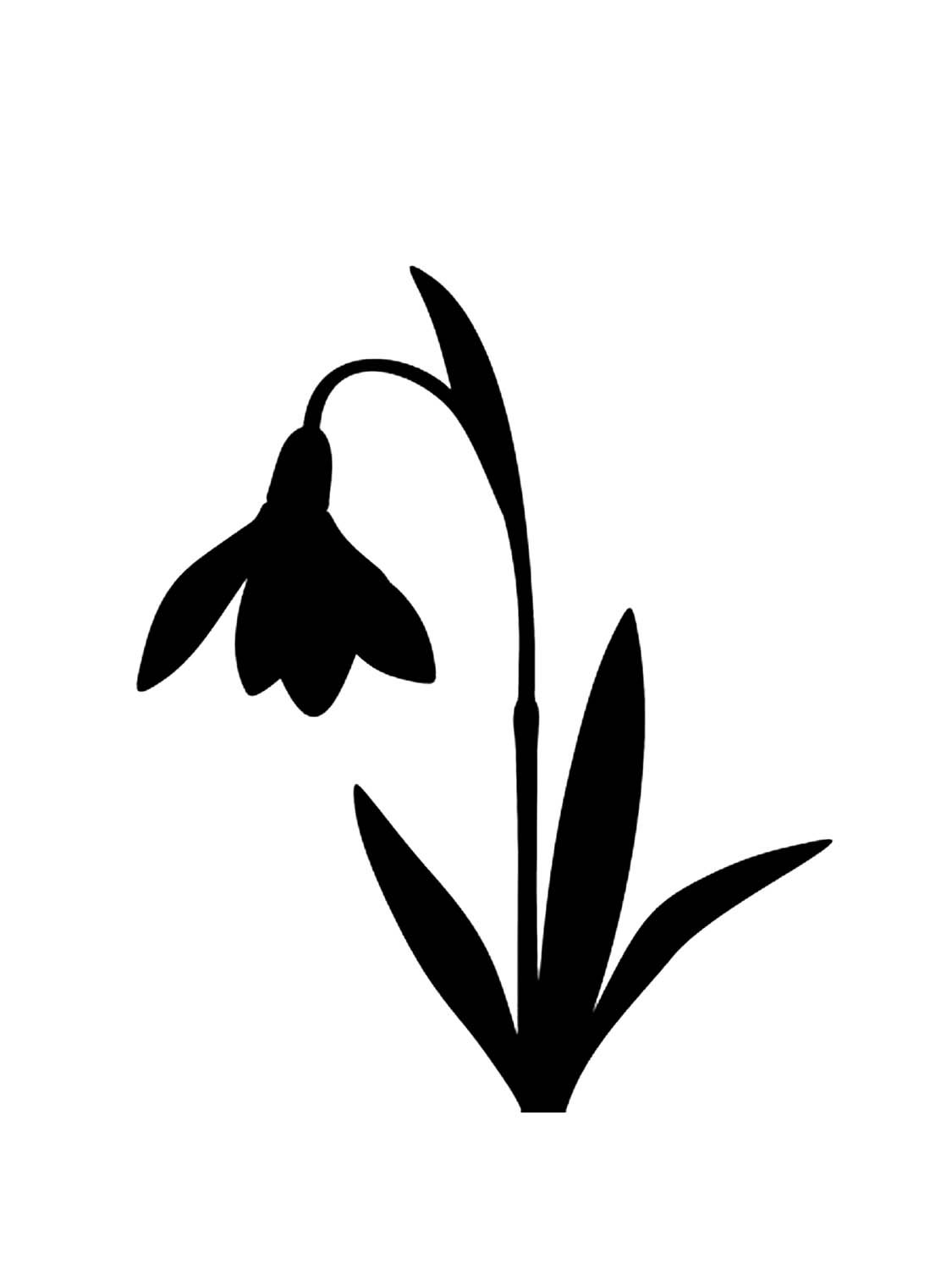 Подснежники на деревянном фоне