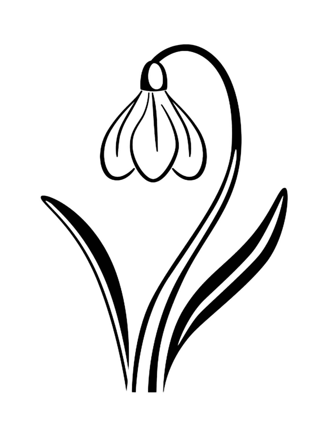 Граттаж подснежники