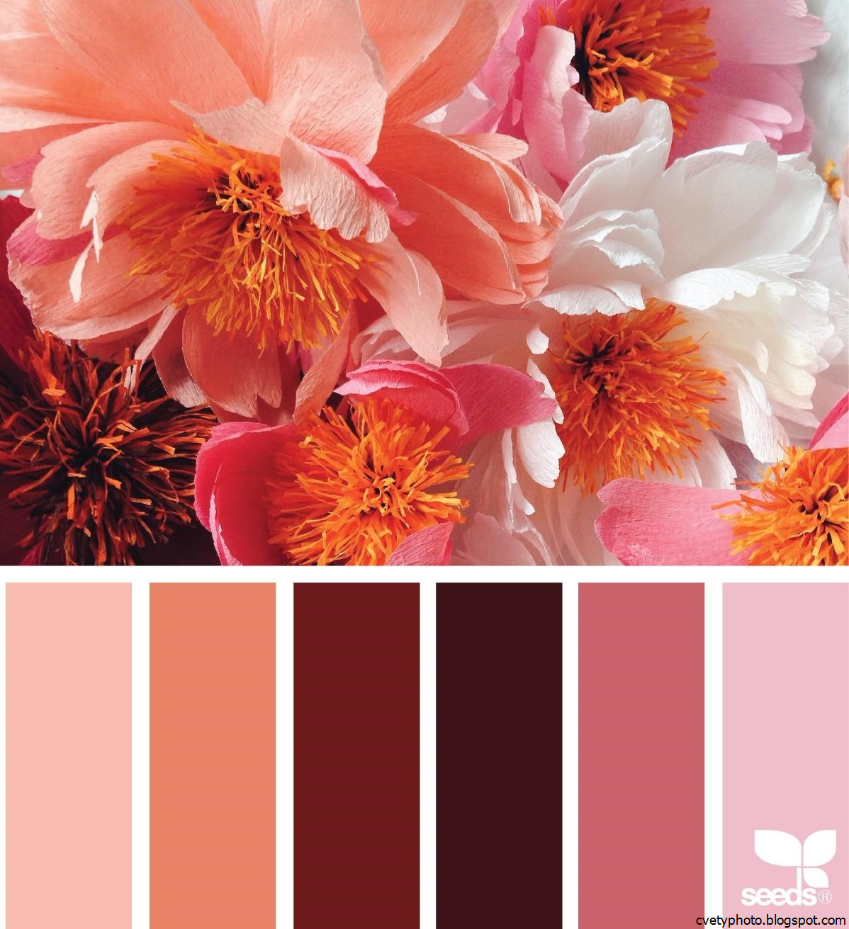 Колор Романюк палитра