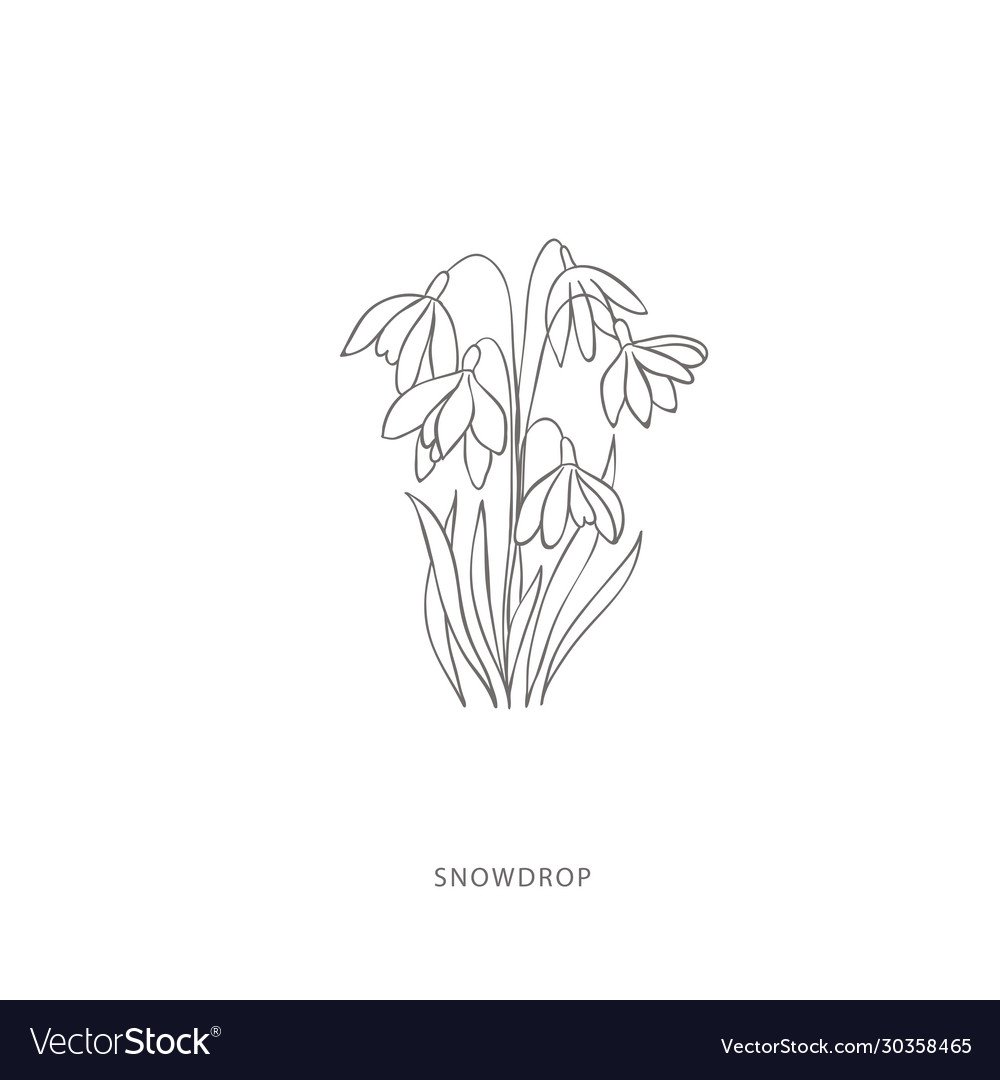 Подснежники картинки нарисованные на стену