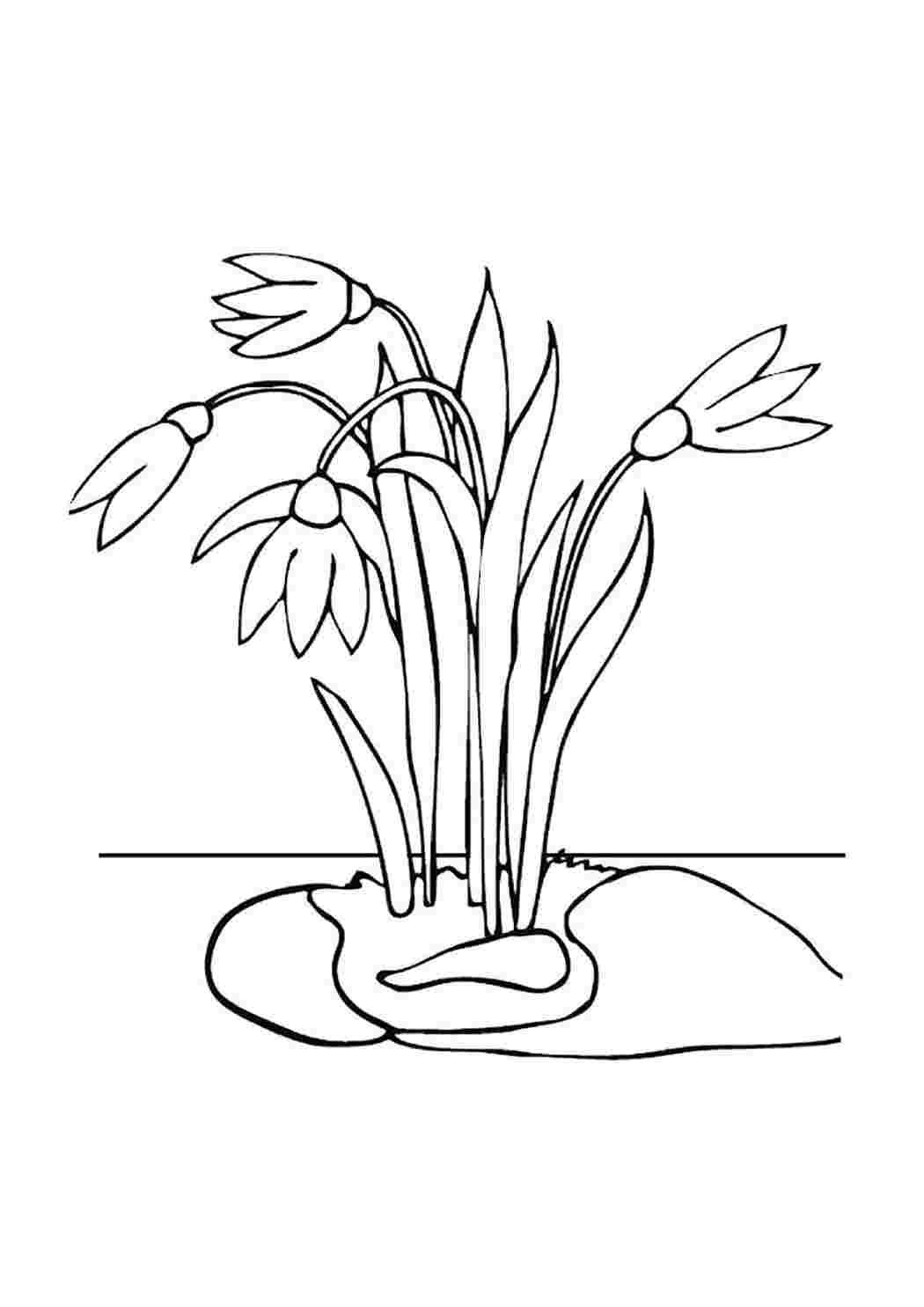 Весенние цветы силуэт