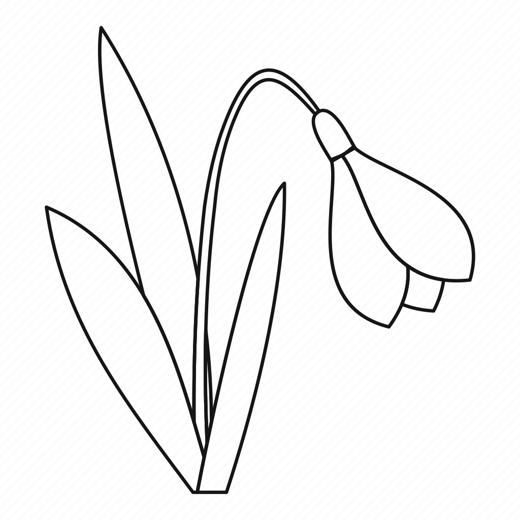 Подснежники черно белые картинки