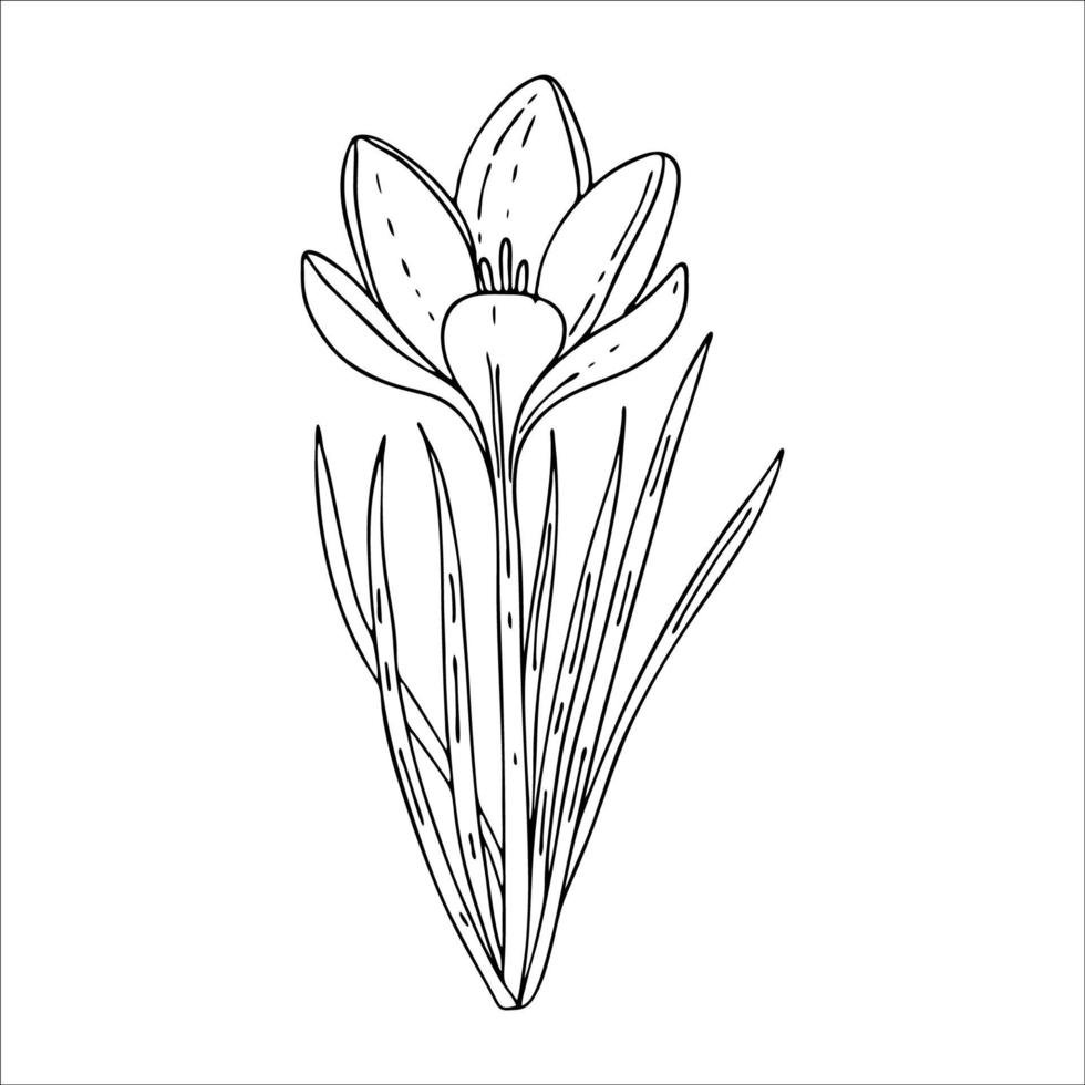 Раскраска Весна для детей 4-5 лет природа