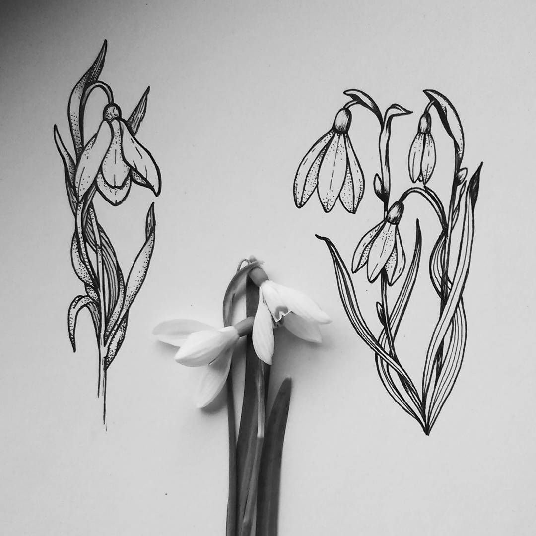 Подснежник сердце карандашом