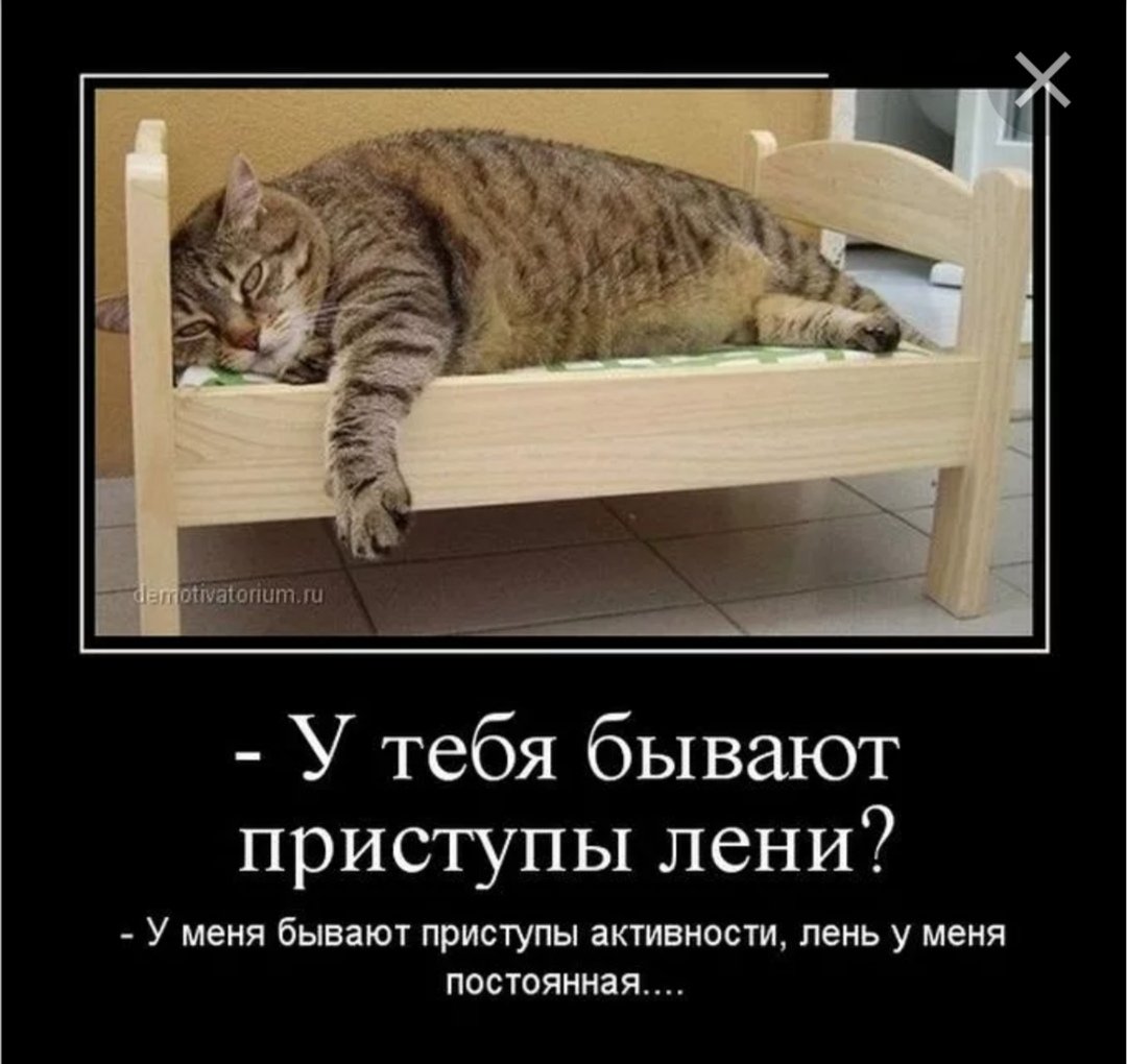 Фразы про лень