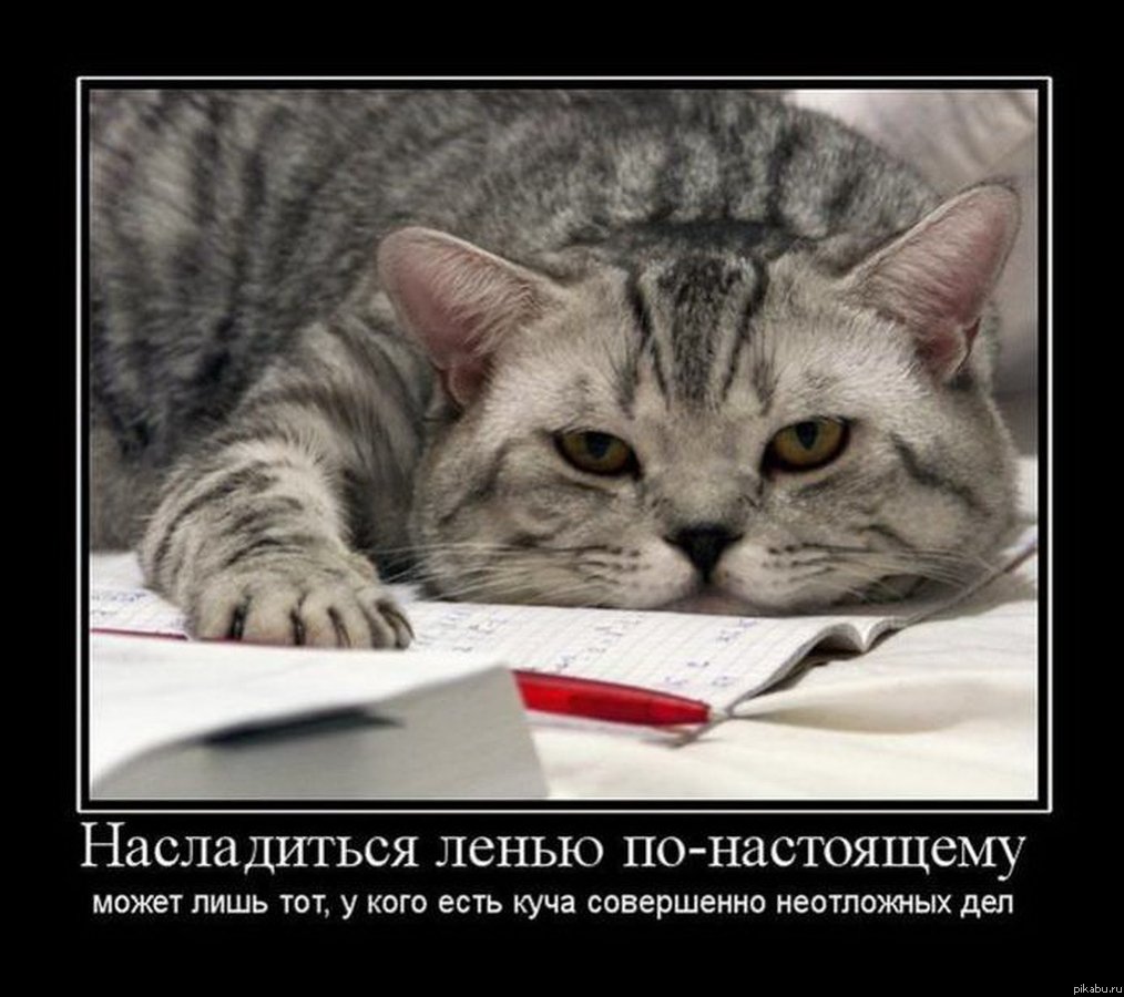 Бездельники юмор