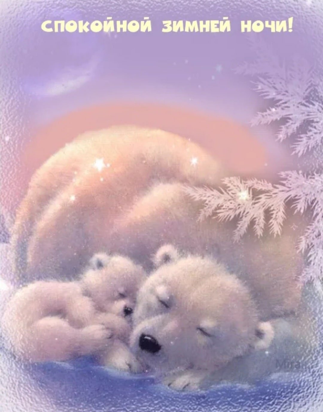 Спокойной снежной ночи