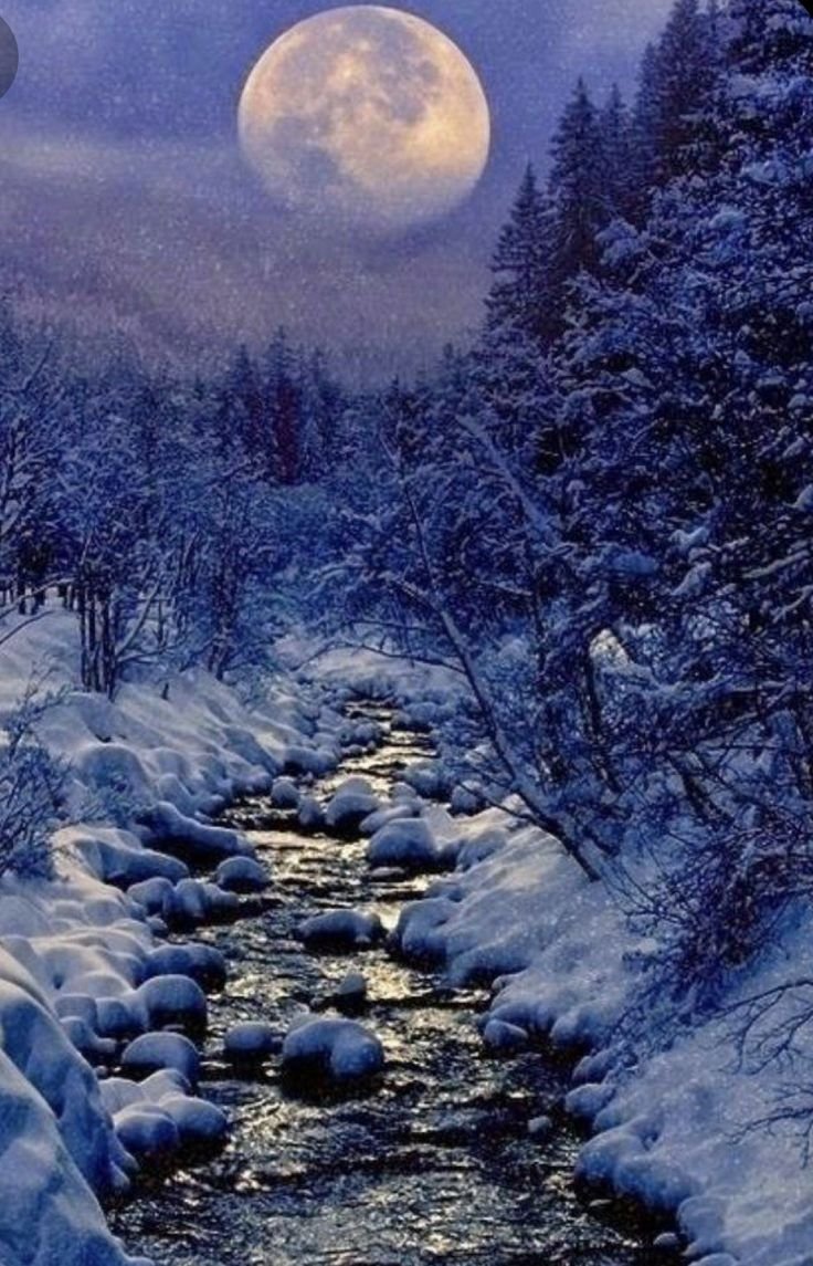 Спокойной ночи зимой