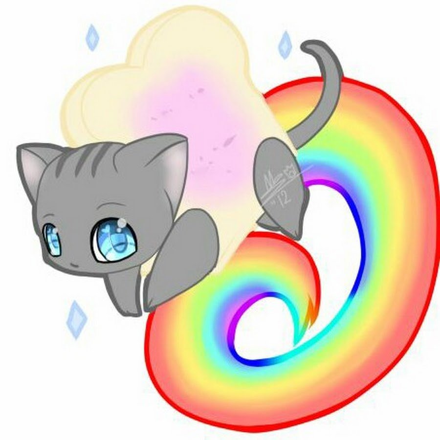 Радужный кот