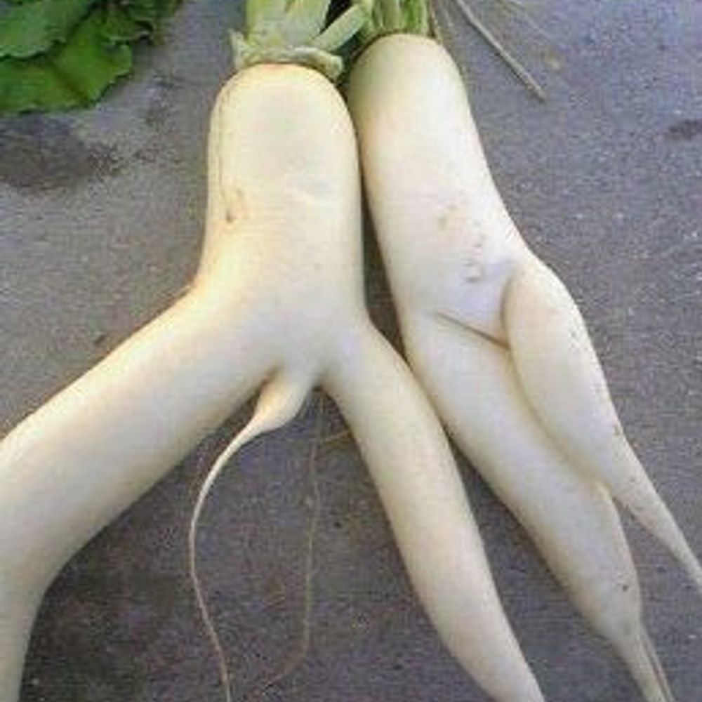 Женская логика