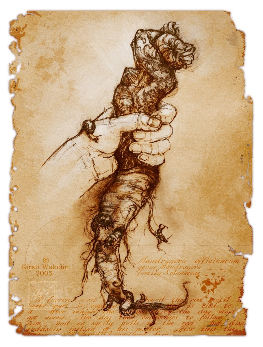 Леонид Каневский другая история