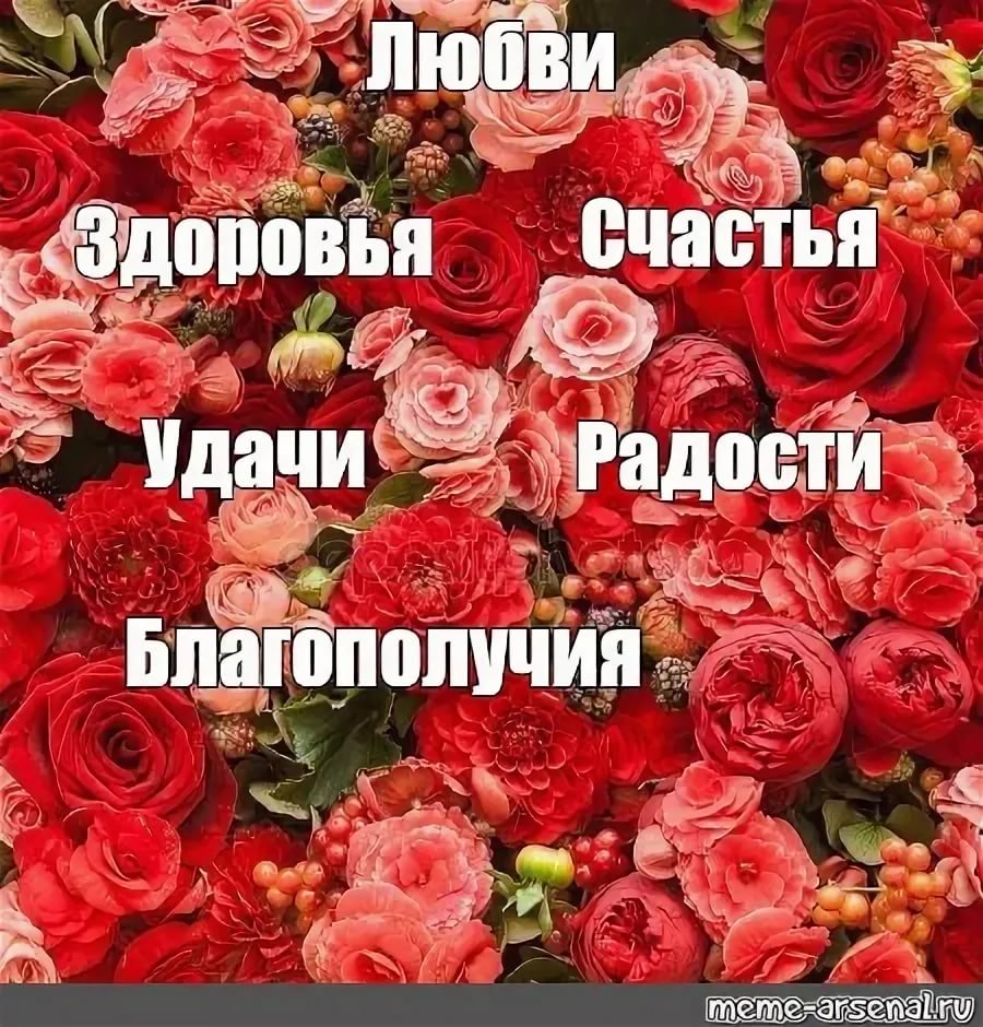 Счастья здоровья любви