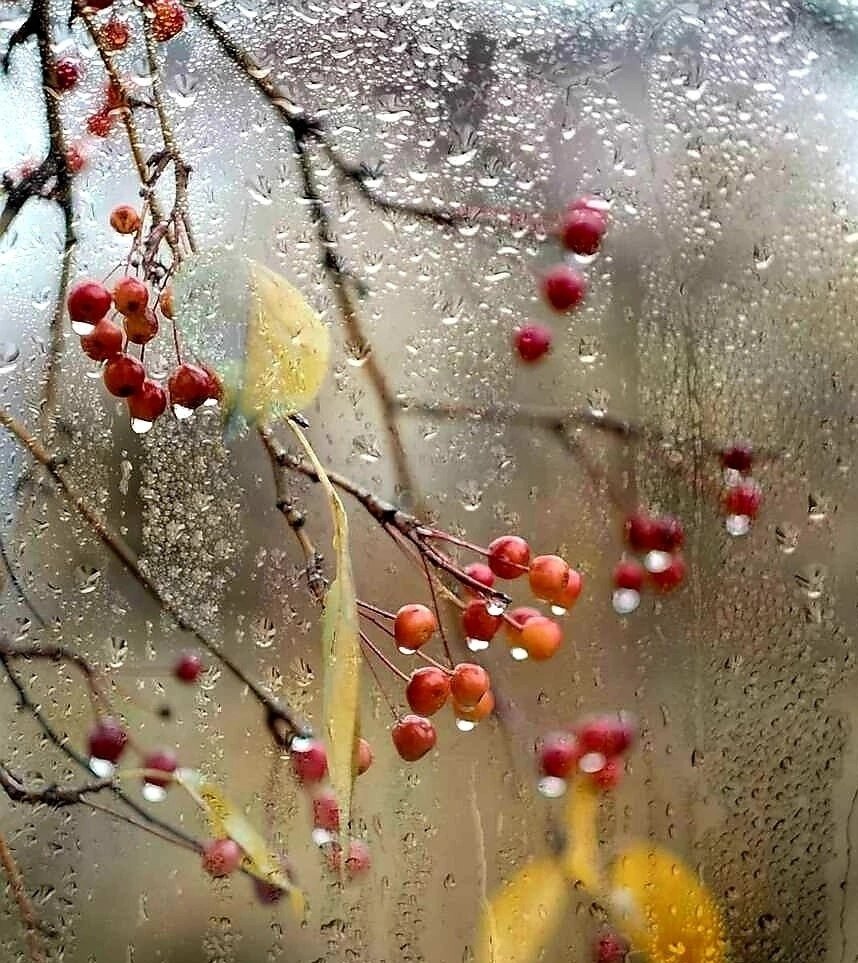 Поздняя осень