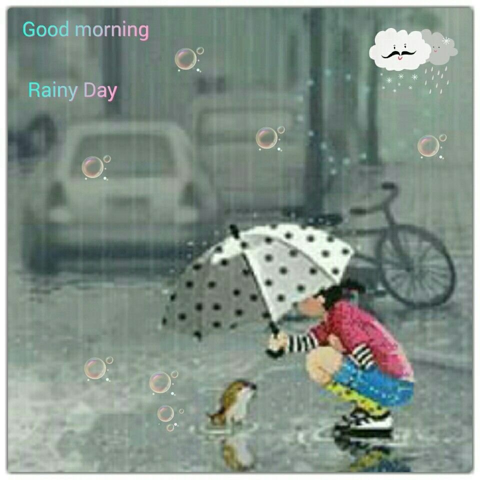 Дождливый привет