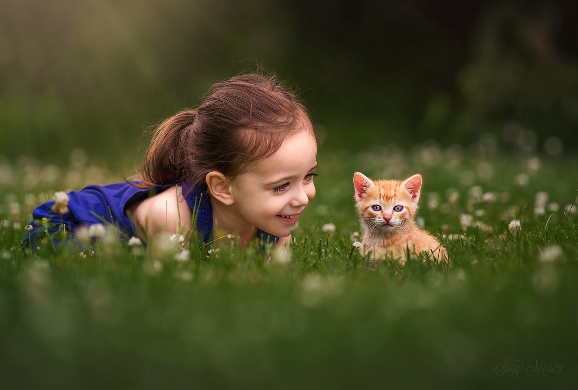 Девочка с котятами