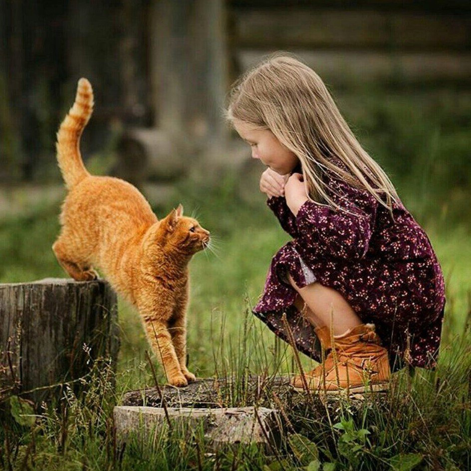 Девочка с котятами