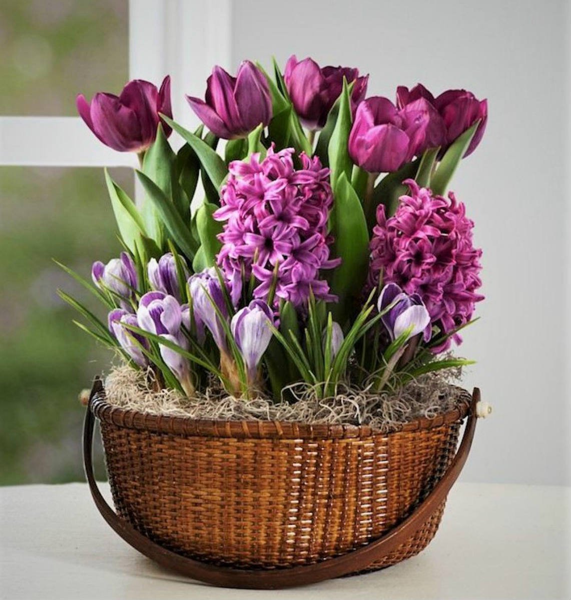 Эраст Николаевич гиацинтов