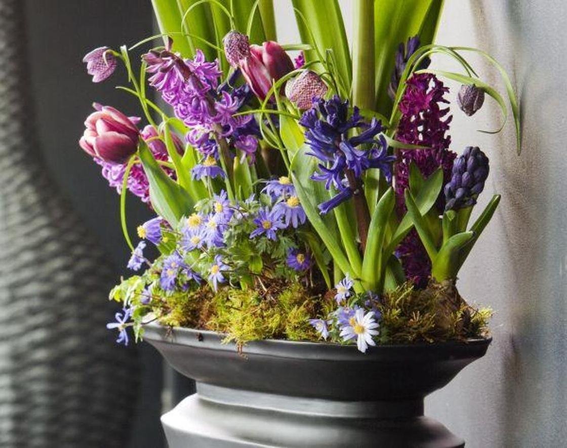 Композиции из гиацинтов в горшках