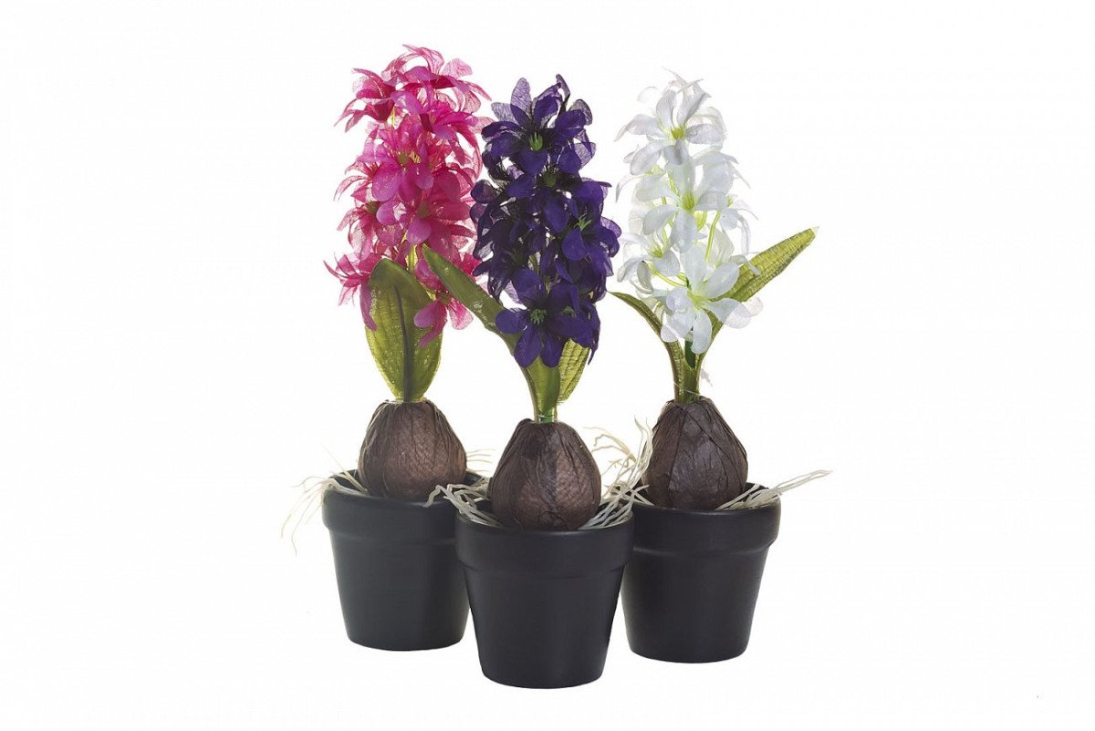 Гиацинт Остара