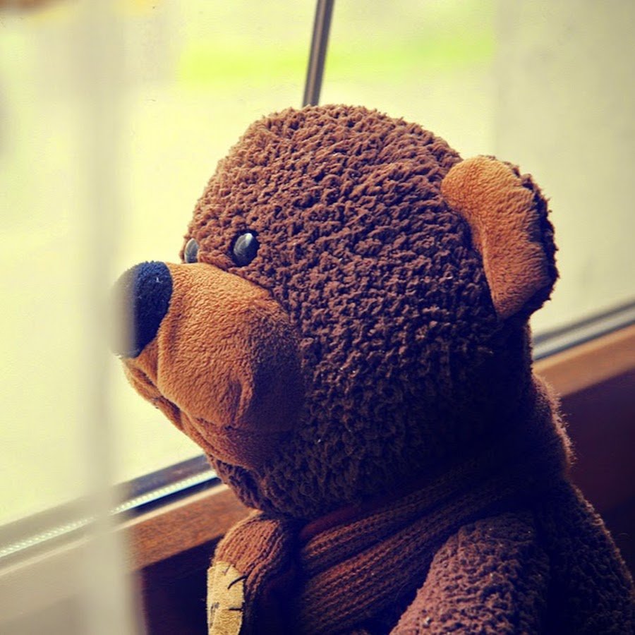 Спокойной ночи, Медвежонок!