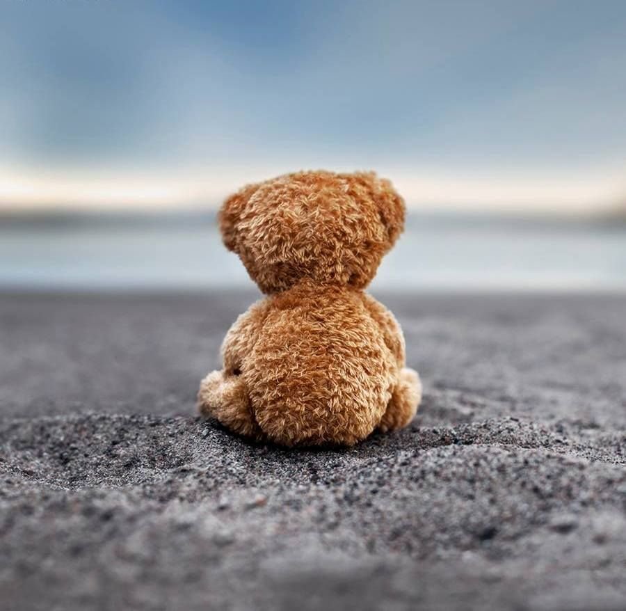 Одинокий мишка