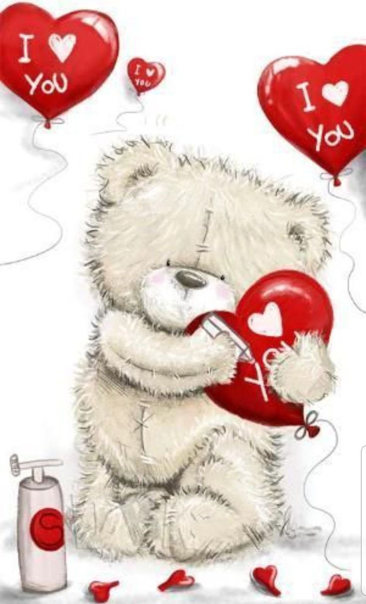 Мишки Тедди любовь