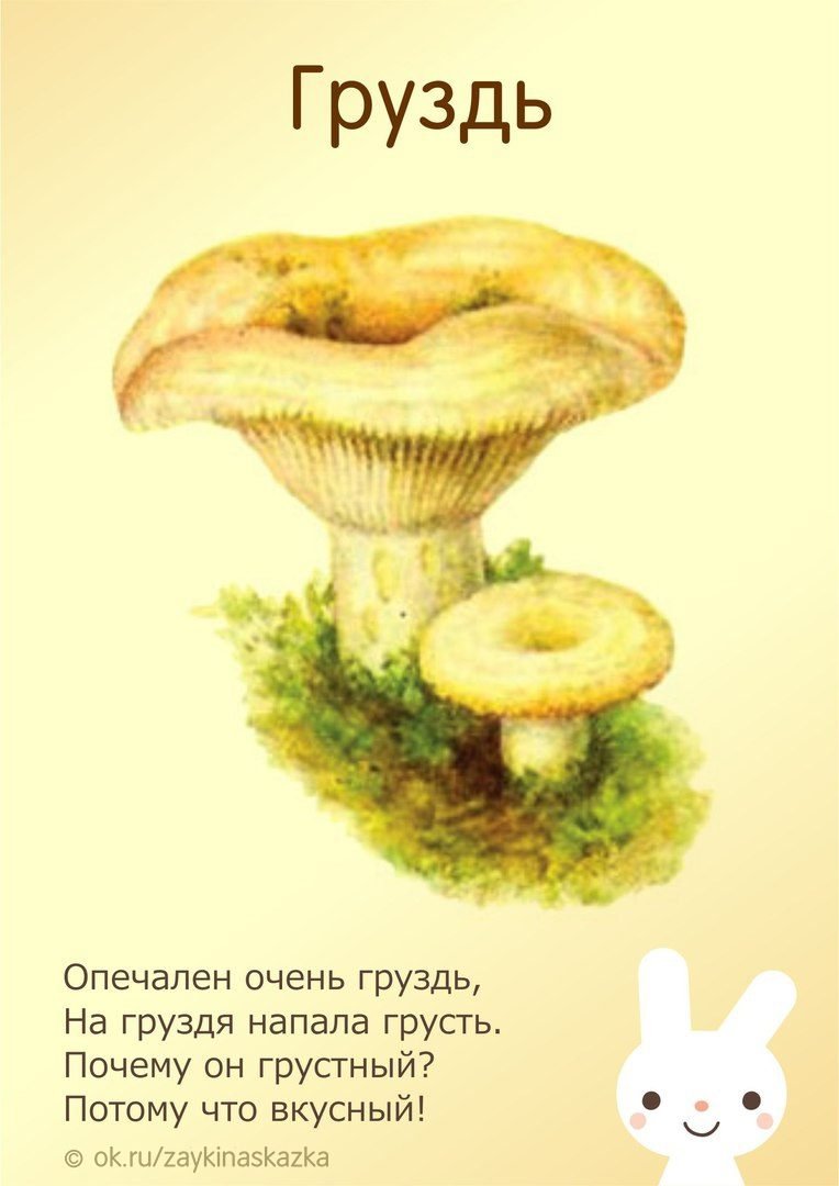 Стихотворение про гриб груздь