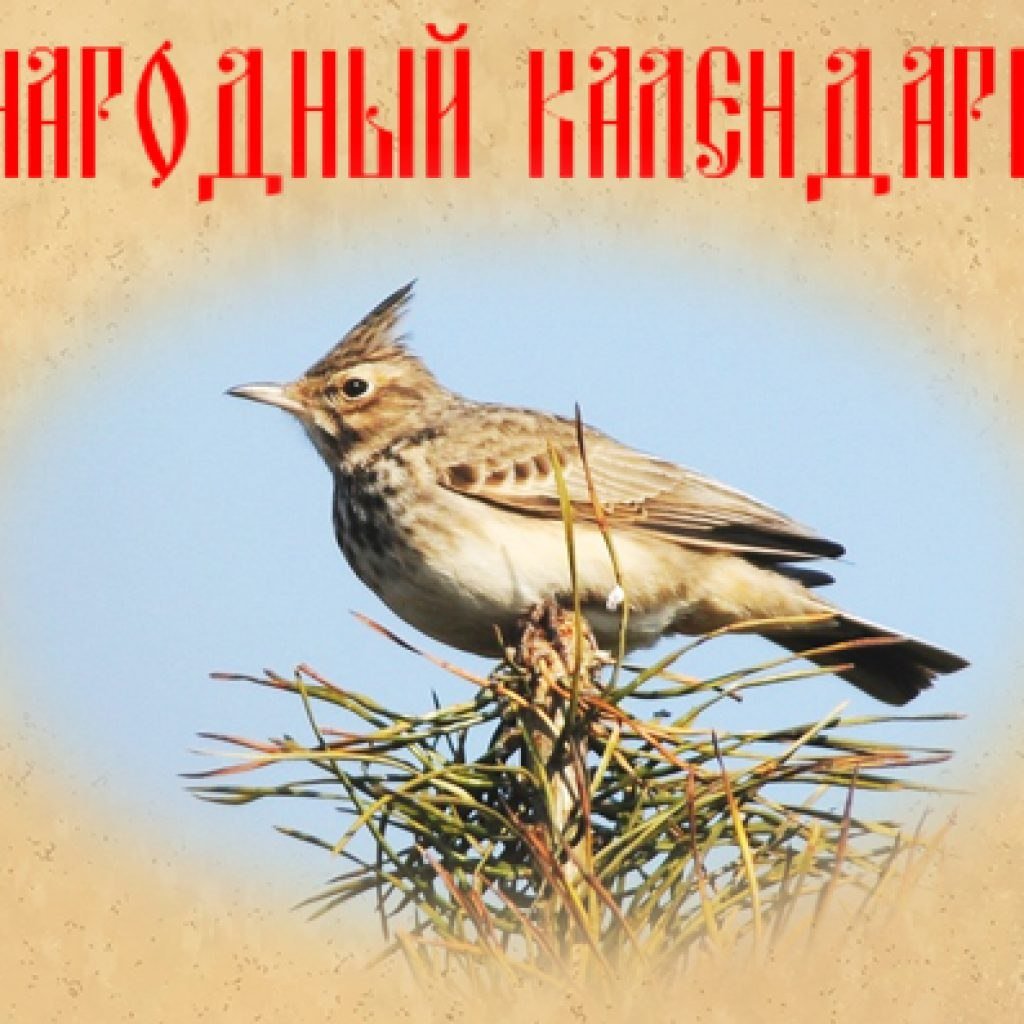 Рамка с птичками