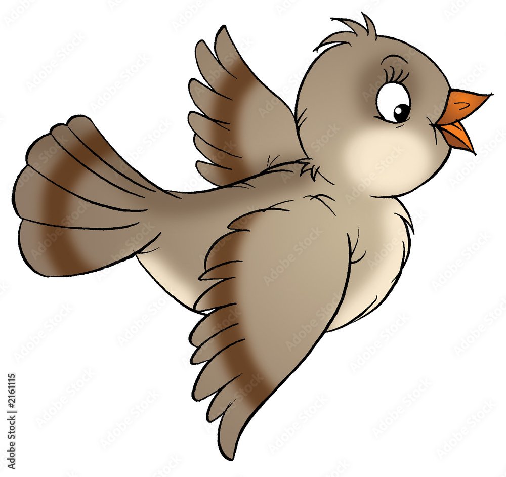 Птицы поют для детей