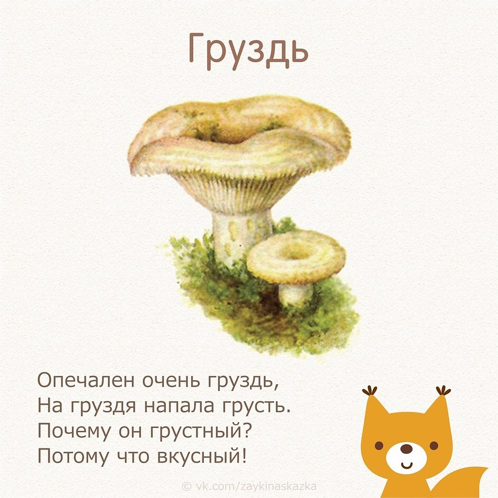Стихотворение про грибы для детей