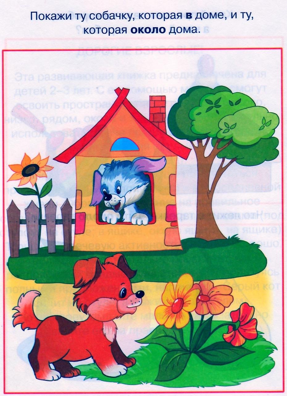 Ориентировка в пространстве