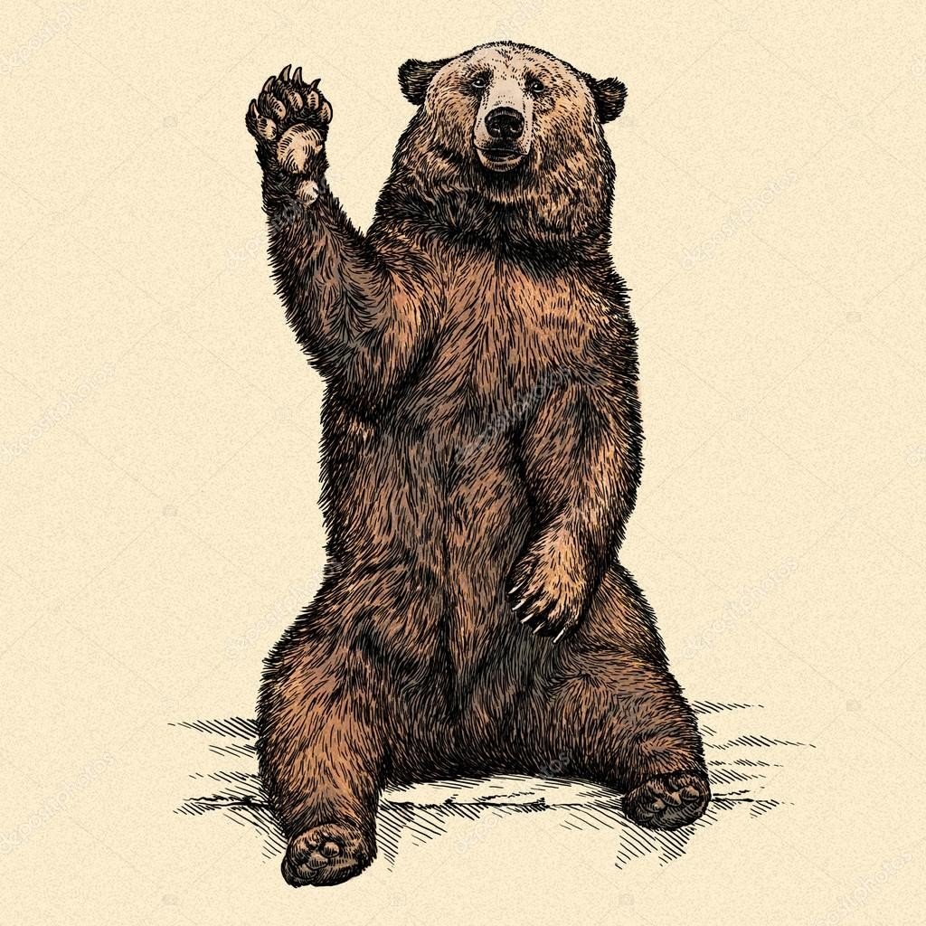 Медведь на задних лапах арт