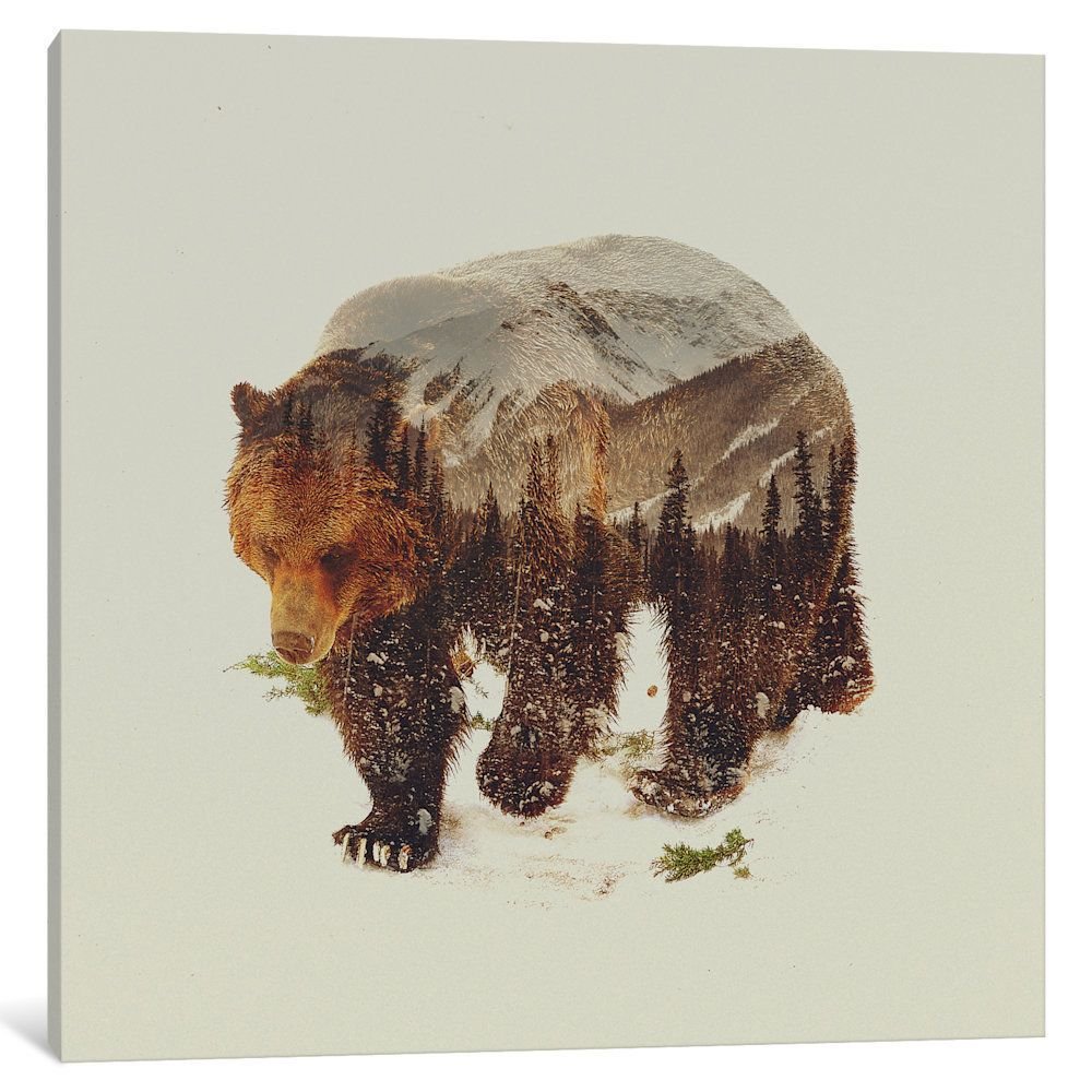 Двойная экспозиция медведь Гризли