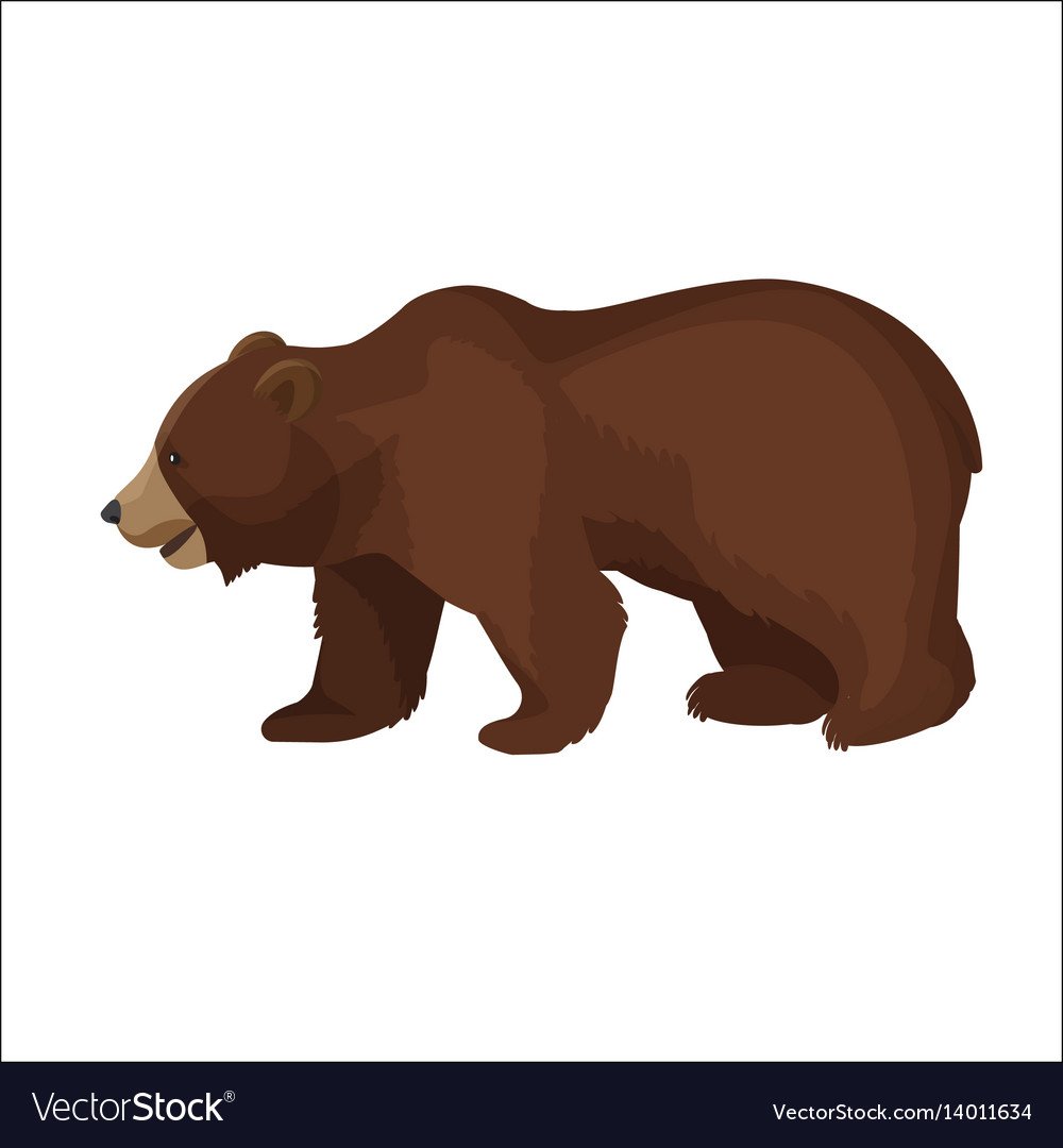 Медведь сбоку вектор