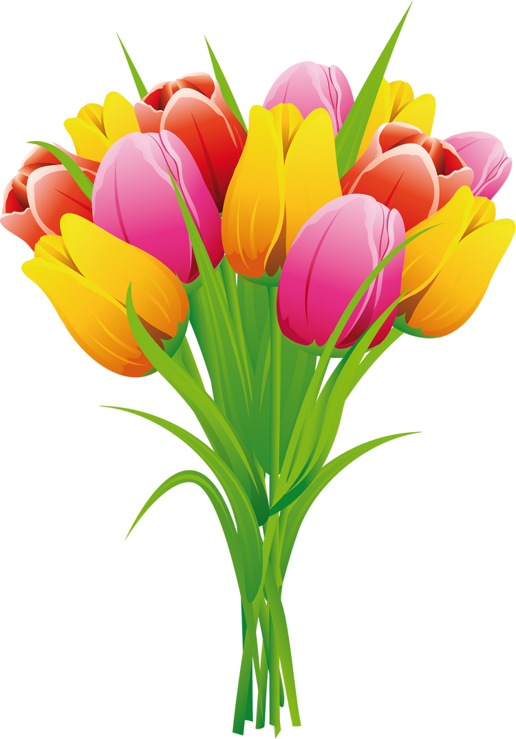Векторные тюльпаны