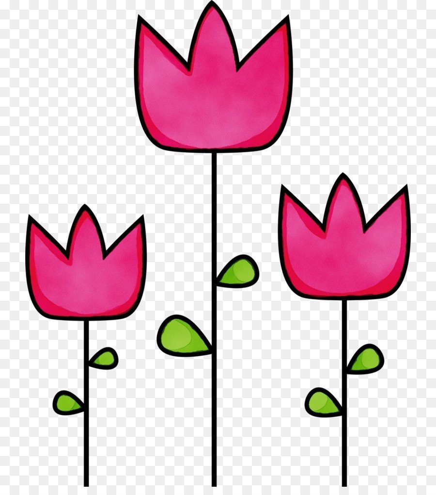 Тюльпан рисунок карандашом