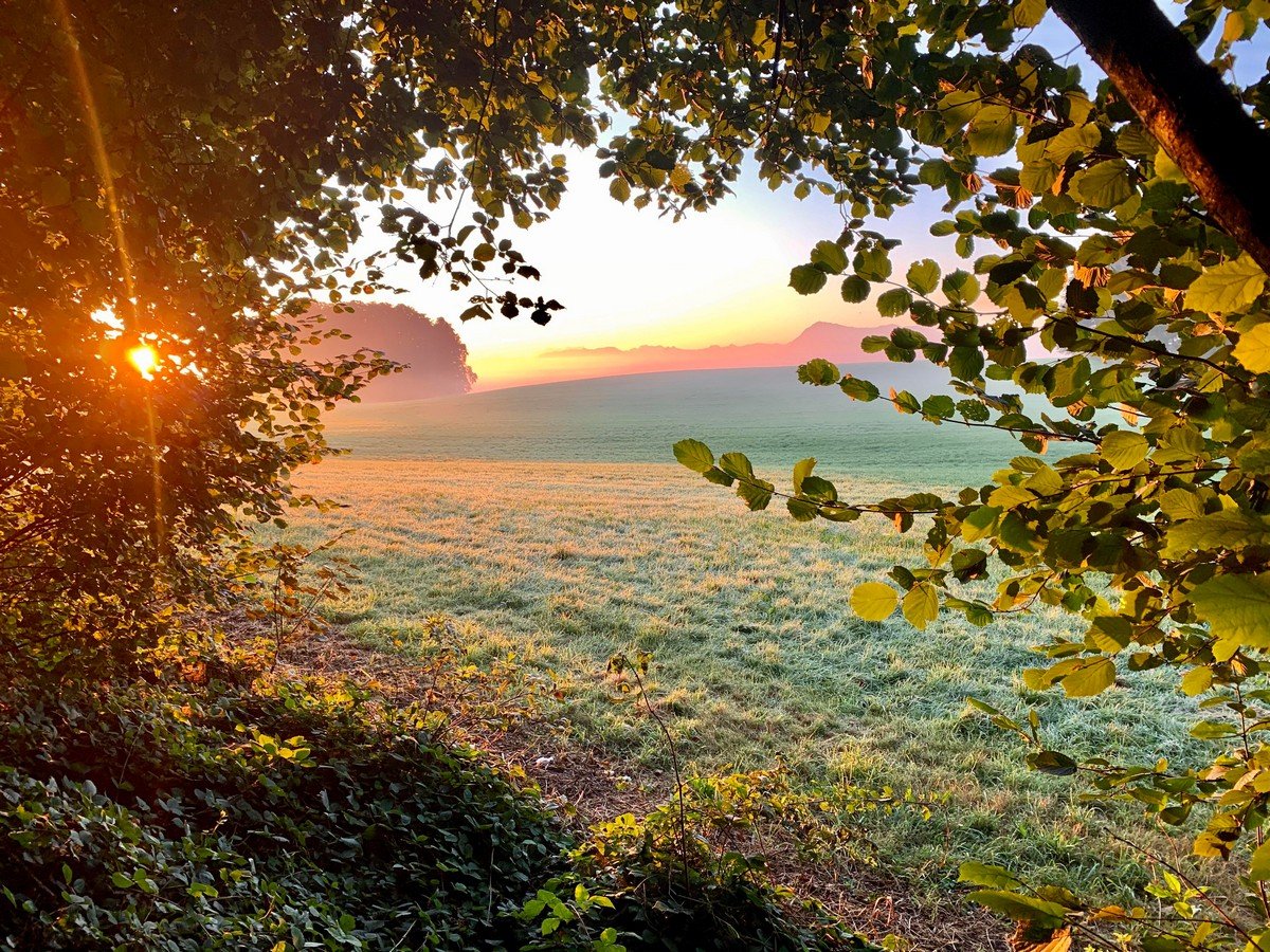 Роза Олбрайтон