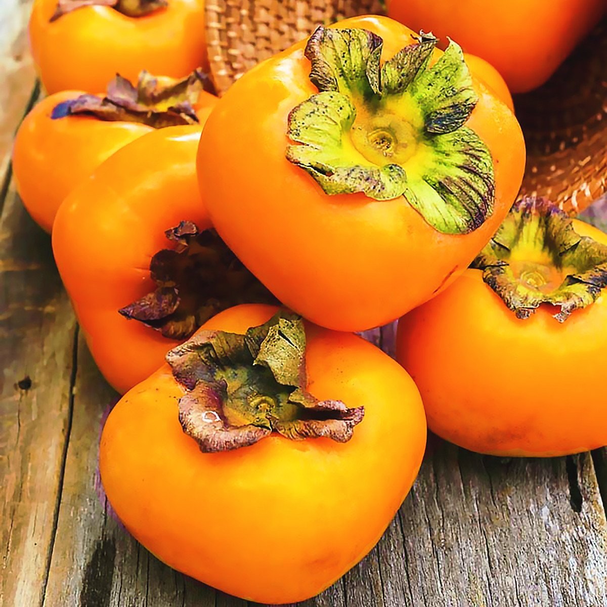 Хурма персимон