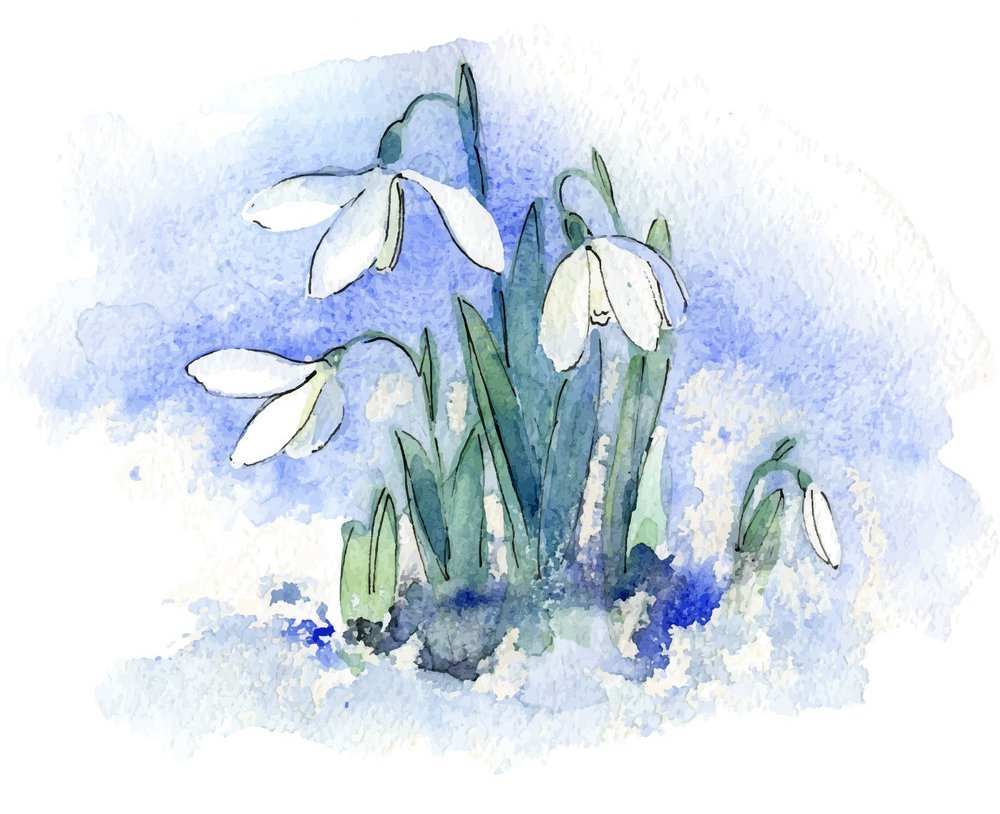Подснежники гуашью