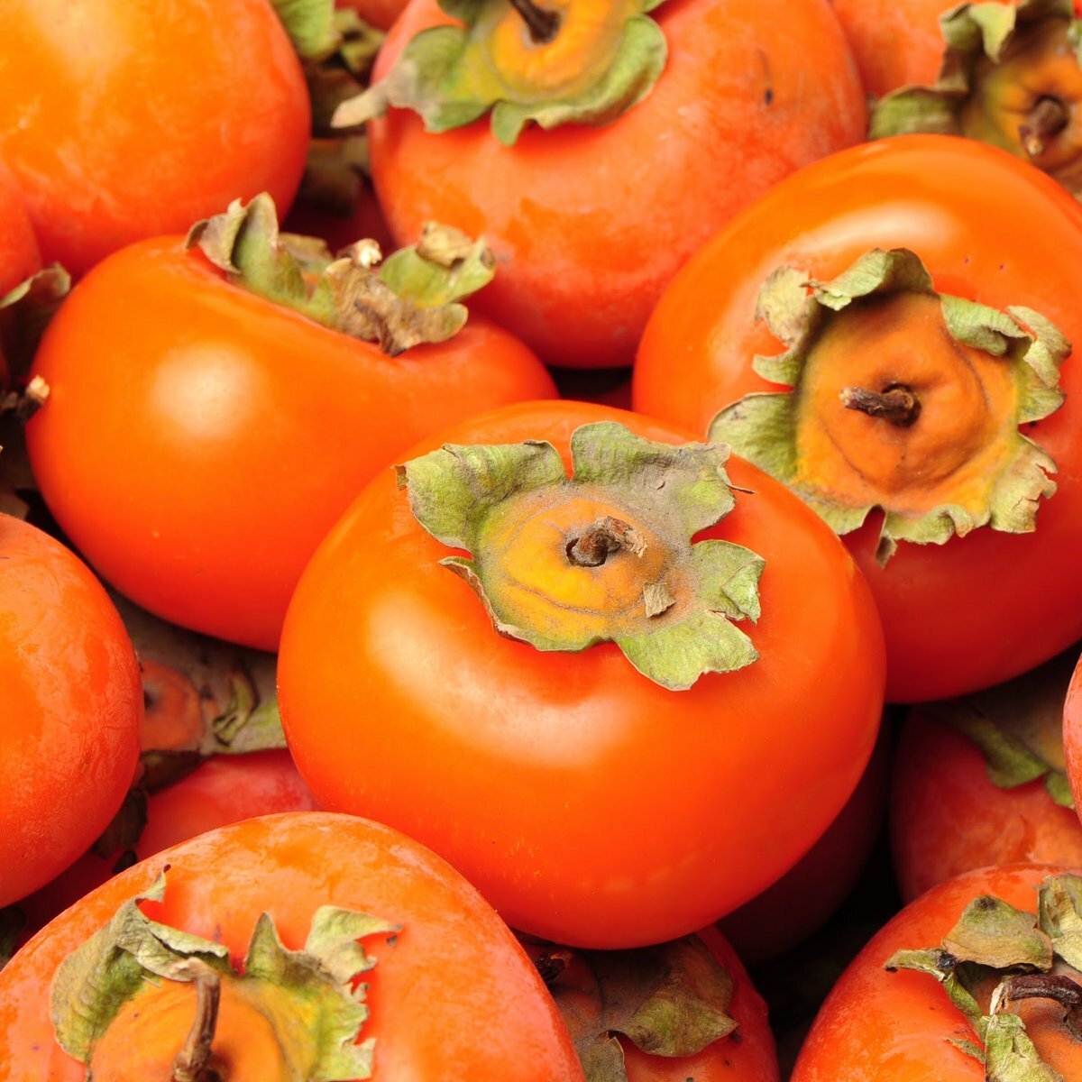 Королек Шарон