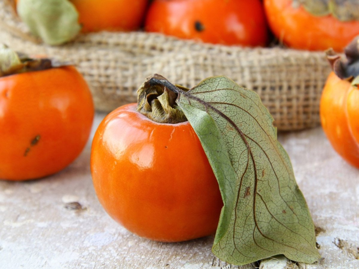 Хурма аппетитная