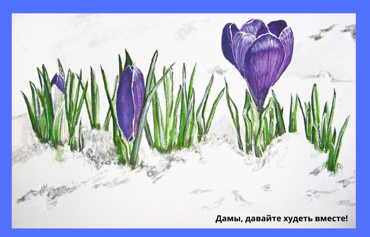 Наталья Шайкина пролеска